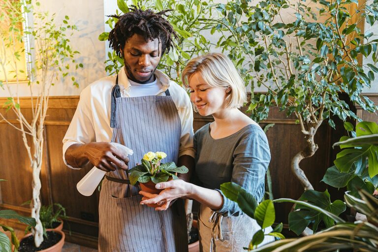 Come mantenere le piante da interno sane e rigogliose